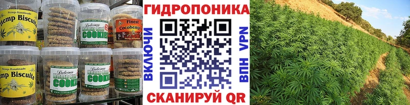Canna-Cookies марихуана  Верхняя Тура 
