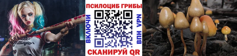 Галлюциногенные грибы GOLDEN TEACHER  Верхняя Тура 